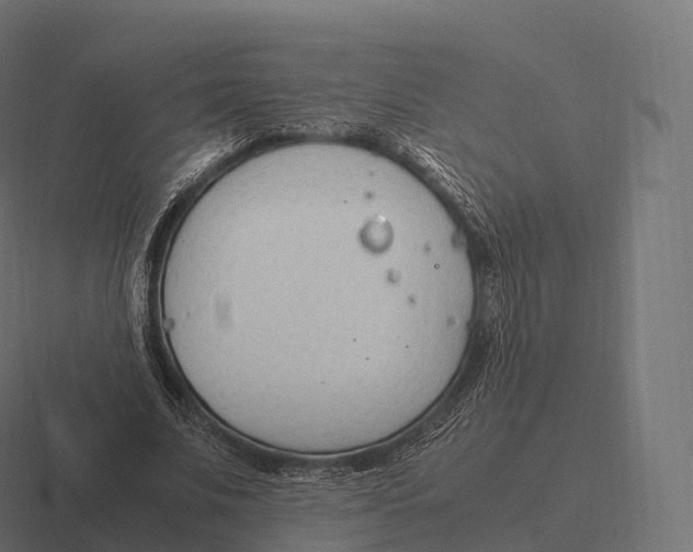 X0000116310679200912291451