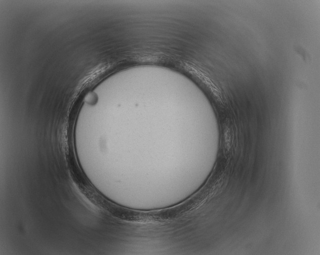 X0000116310682200912291451