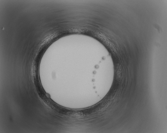 X0000116310683200912291451