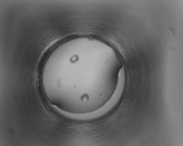 X0000116310684200912291451