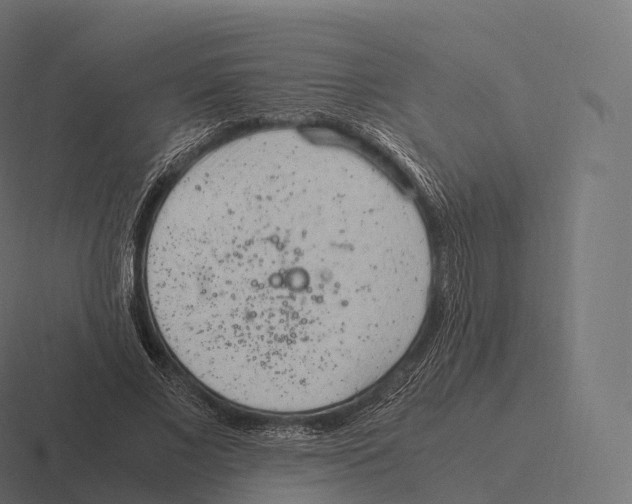 X0000116310685200912291451