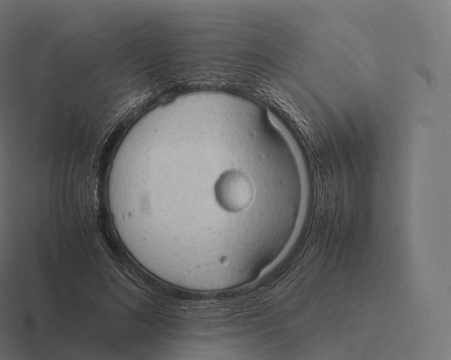 X0000116310692200912291451