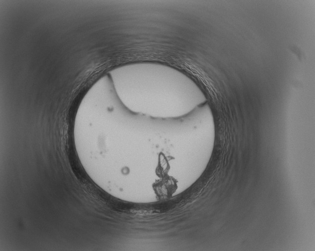 X0000116310693200912291451