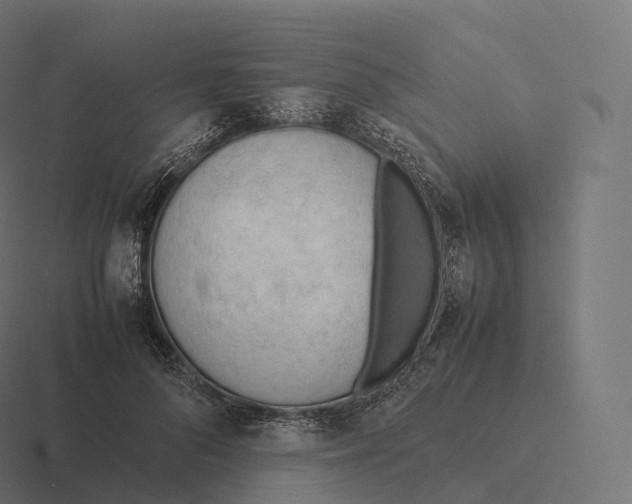 X0000116310696200912291451