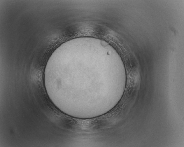 X0000116310701200912291451