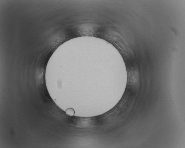 X0000116310717200912291451