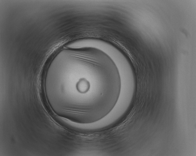 X0000116310725200912291450