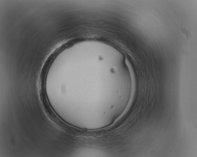 X0000116310726200912291450