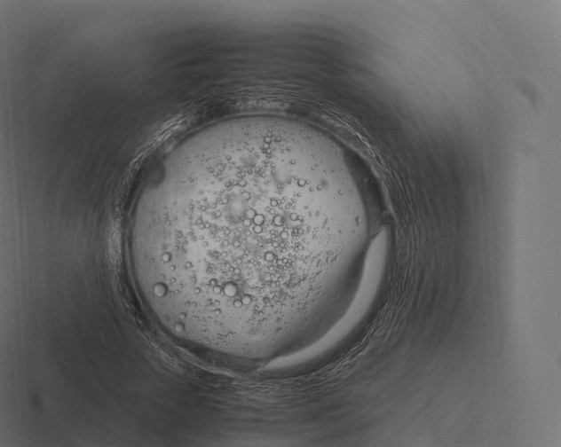 X0000116310729200912291450