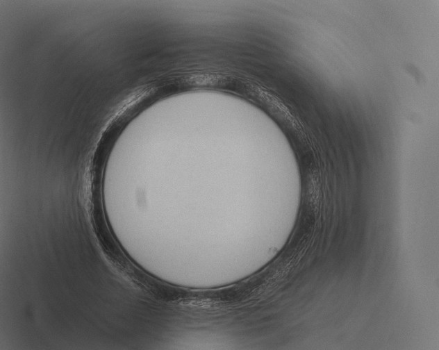 X0000116310730200912291450