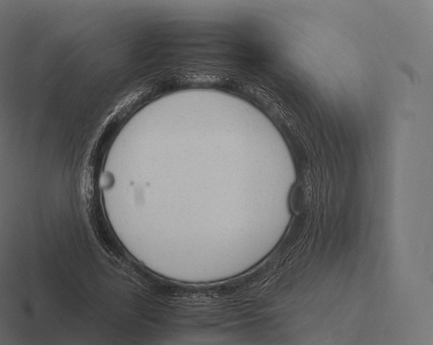 X0000116310731200912291450