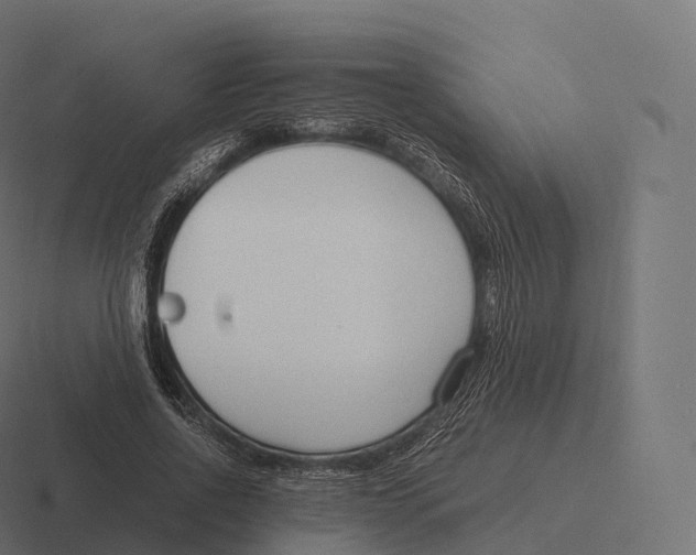 X0000116310734200912291450