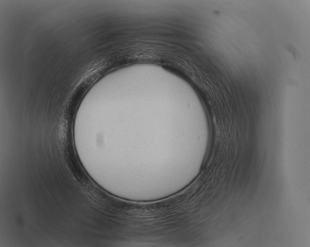 X0000116310735200912291451