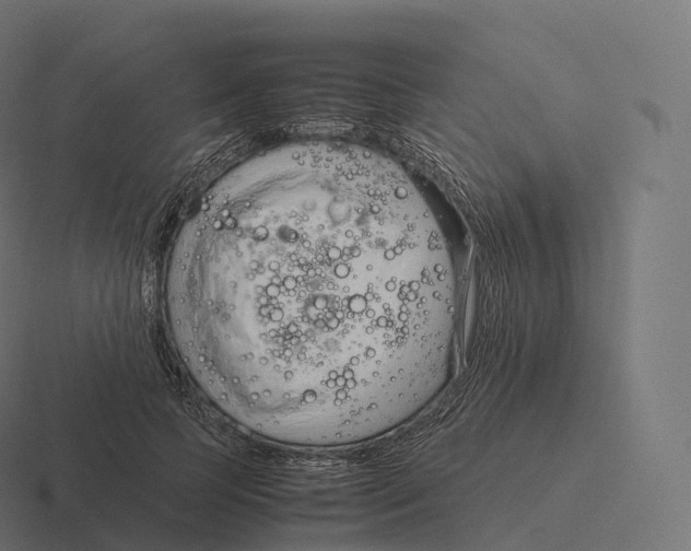 X0000116310745200912291451