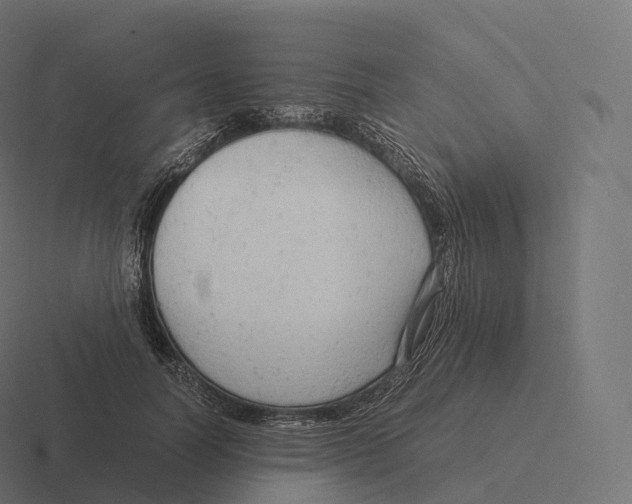 X0000116310746200912291451