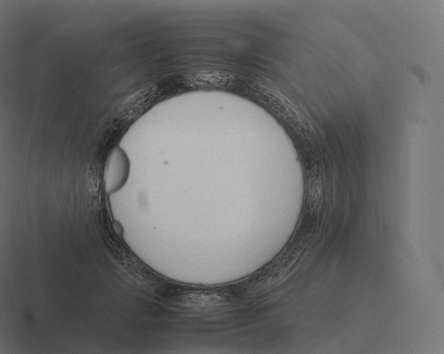 X0000116310749200912291451