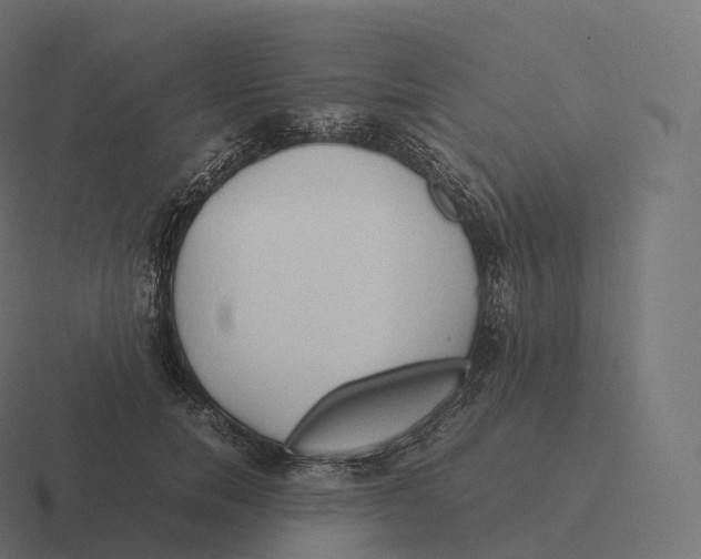 X0000116310750200912291451