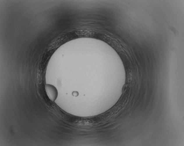 X0000116310751200912291451