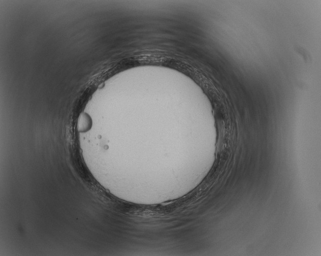 X0000116310755200912291451