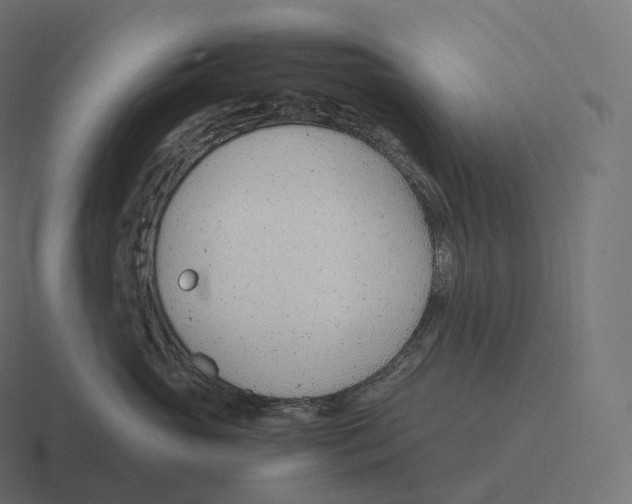 X0000116310765200912291451