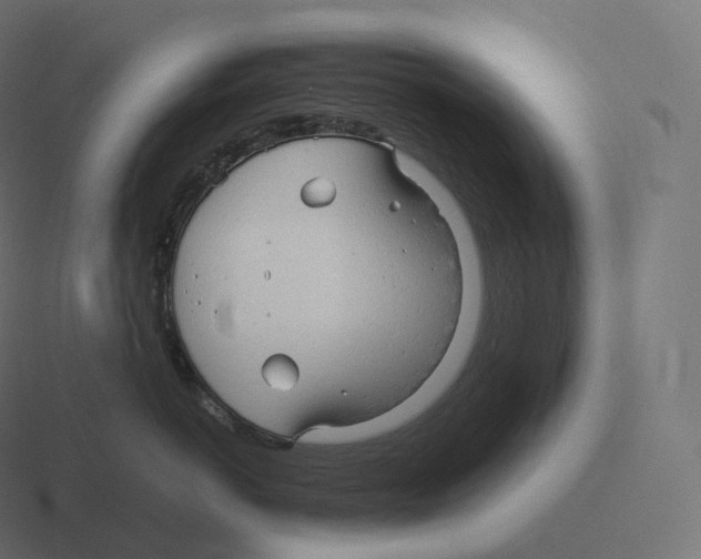 X0000116310766200912291451