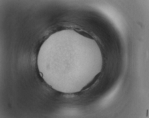 X0000116310767200912291451