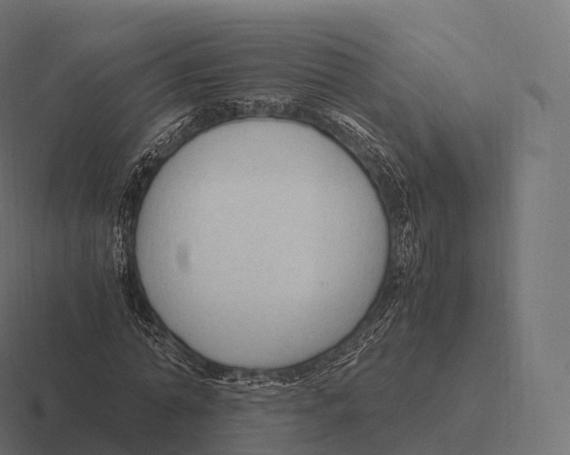 X0000116310774200912291450