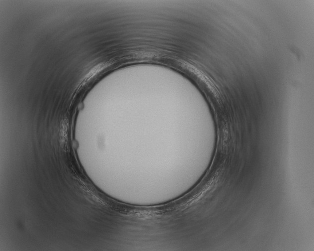 X0000116310778200912291450