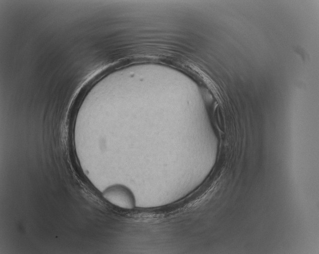 X0000116310779200912291450