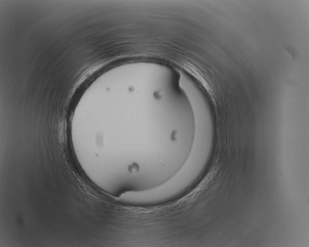 X0000116310781200912291450