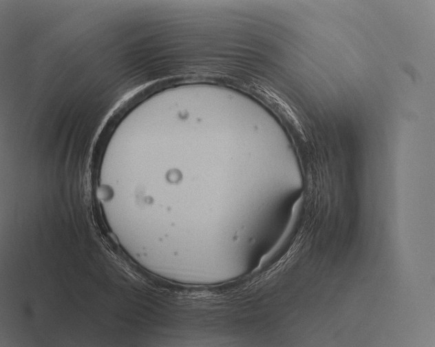 X0000116310784200912291450