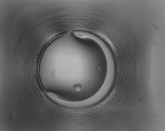 X0000116310785200912291450