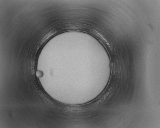 X0000116310786200912291450