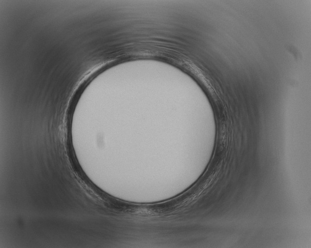 X0000116310787200912291450