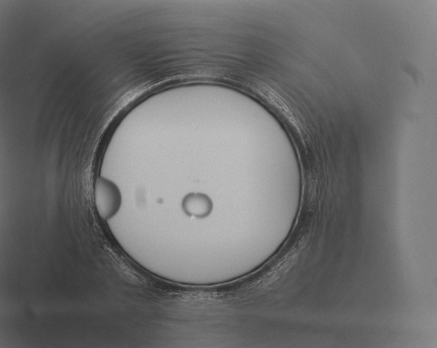 X0000116310789200912291450