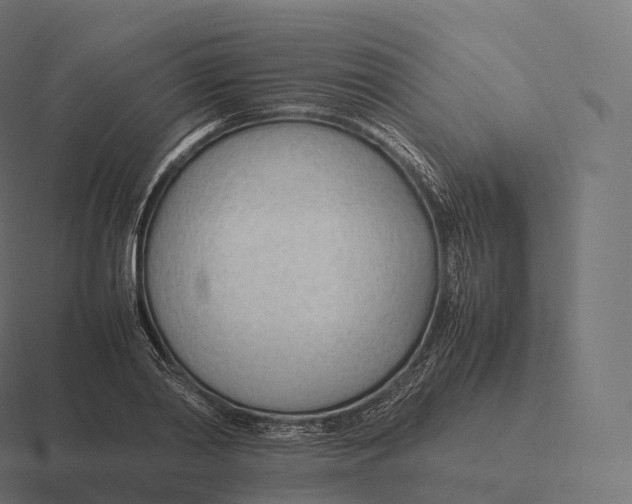 X0000116310790200912291450