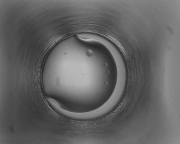 X0000116310793200912291450