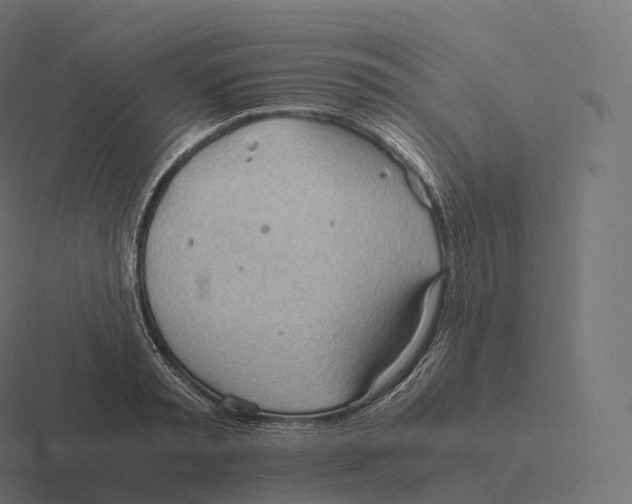 X0000116310797200912291450