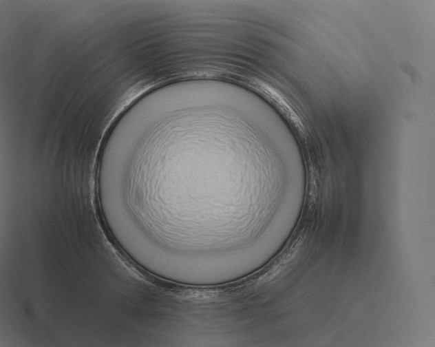 X0000116310802200912291450