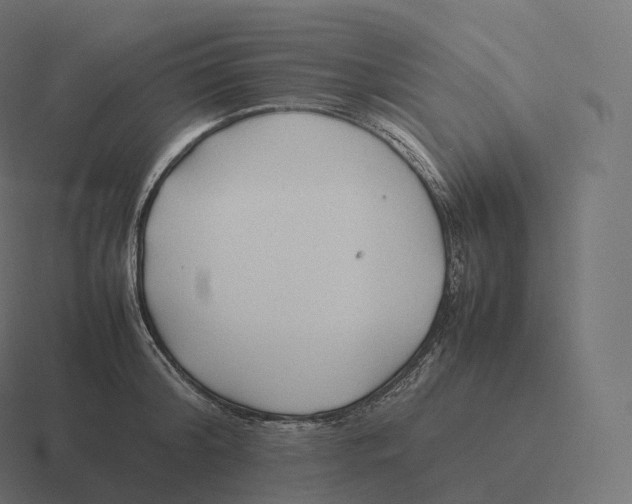 X0000116310804200912291450