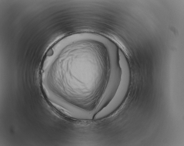 X0000116310806200912291450