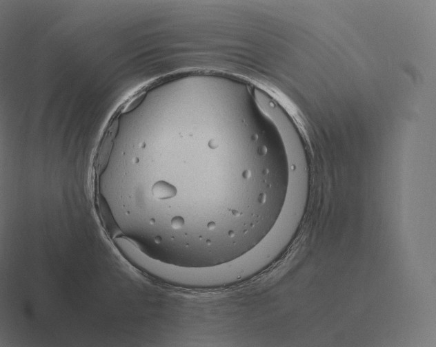 X0000116310807200912291450