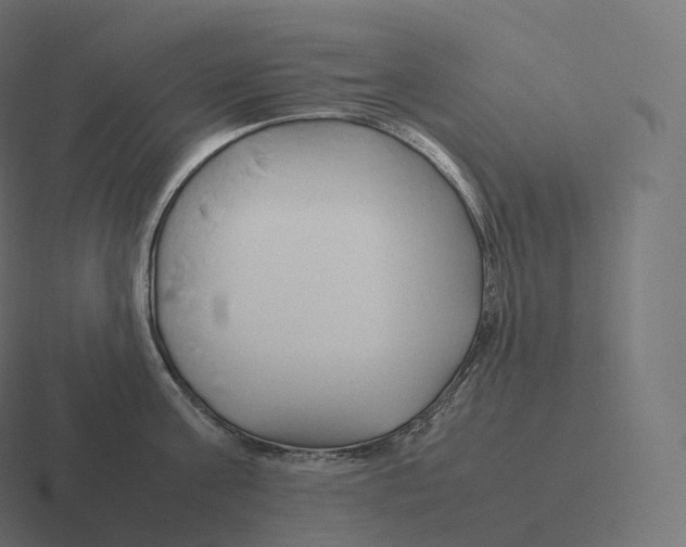 X0000116310811200912291450