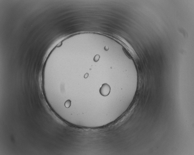 X0000116310812200912291450