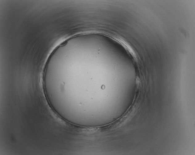 X0000116310813200912291450