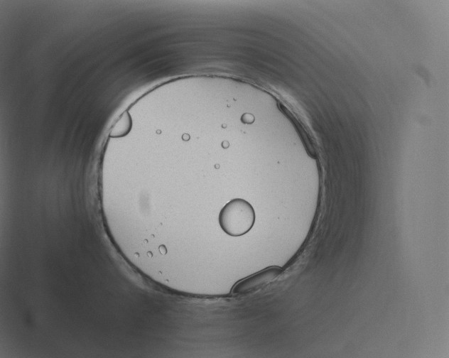 X0000116310816200912291450