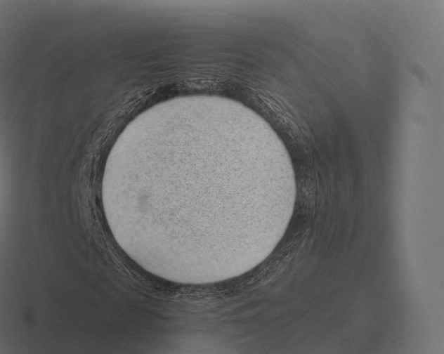 X0000116310817200912291449