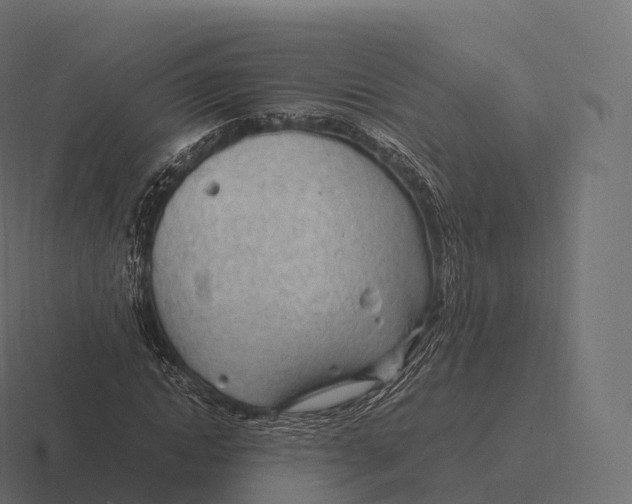 X0000116310822200912291449