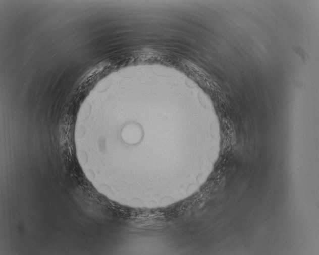 X0000116310824200912291449