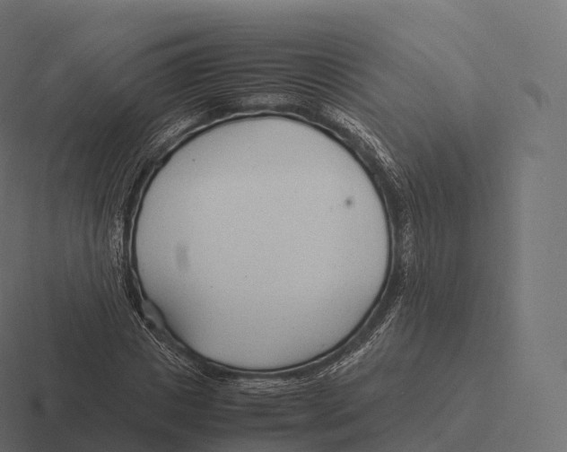 X0000116310825200912291449